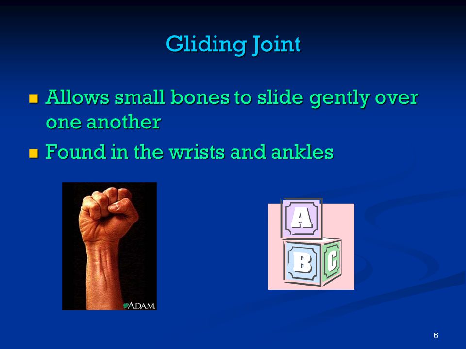 Gliding Joint Allows small bones to slide gently over one another