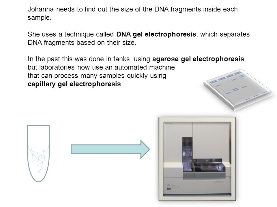 In the past this was done in tanks, using agarose gel electrophoresis,