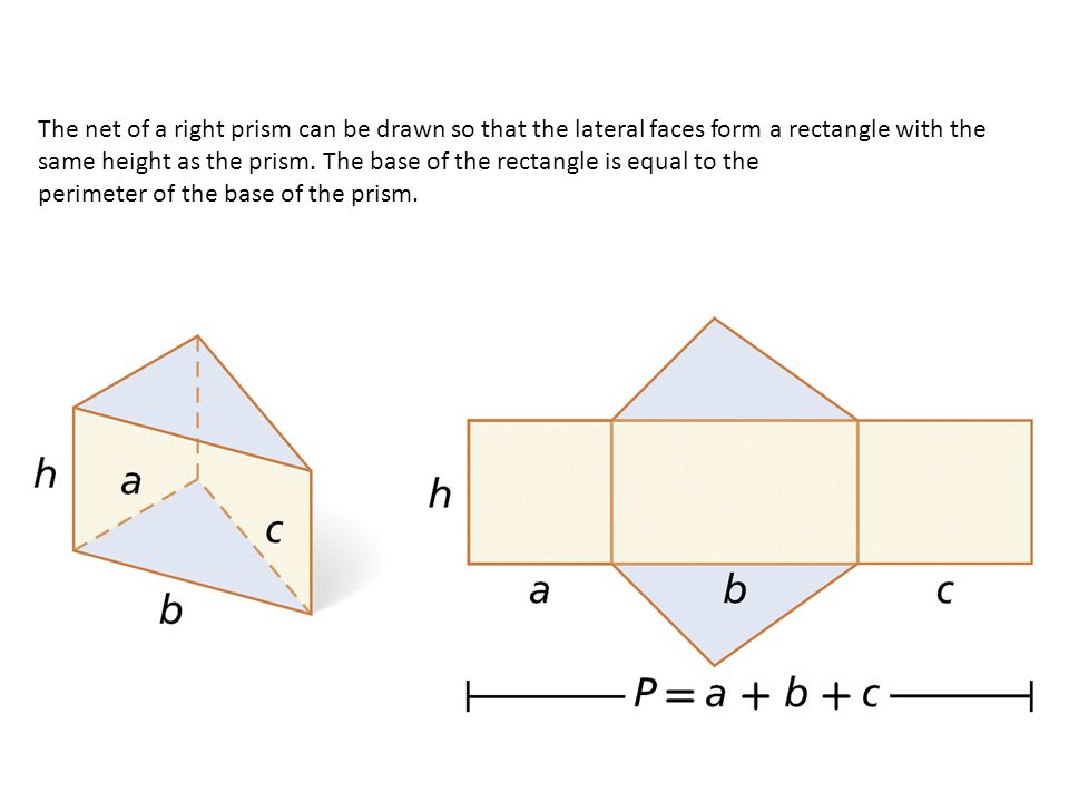The net of a right prism can be drawn so that the lateral faces form a rectangle with the same height as the prism. The base of the rectangle is equal to the
