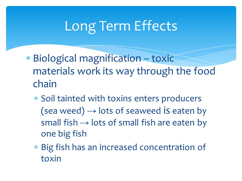 Long Term Effects Biological magnification – toxic materials work its way through the food chain.