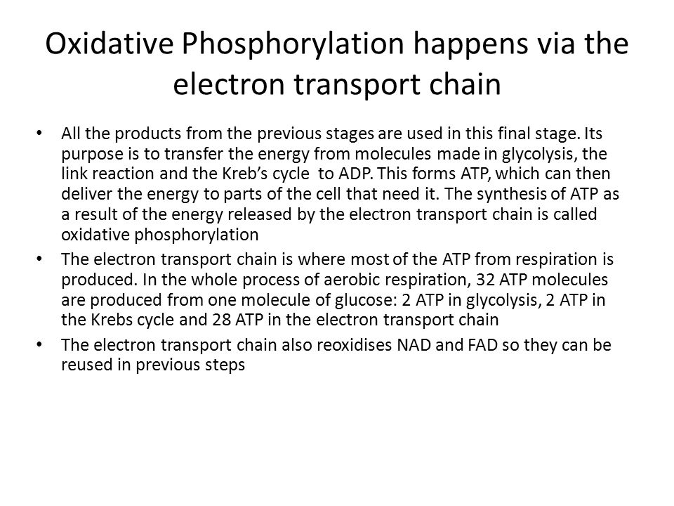 Oxidative Phosphorylation happens via the electron transport chain