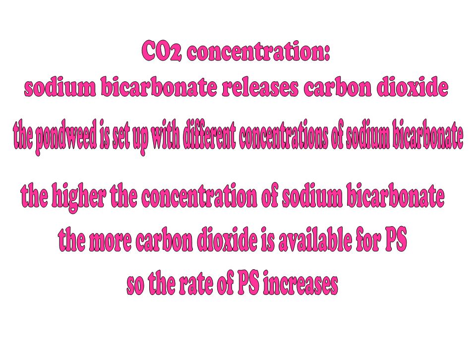 sodium bicarbonate releases carbon dioxide