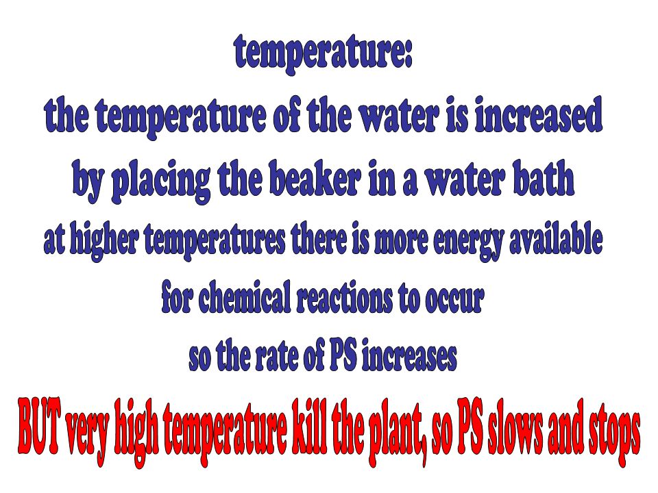 the temperature of the water is increased