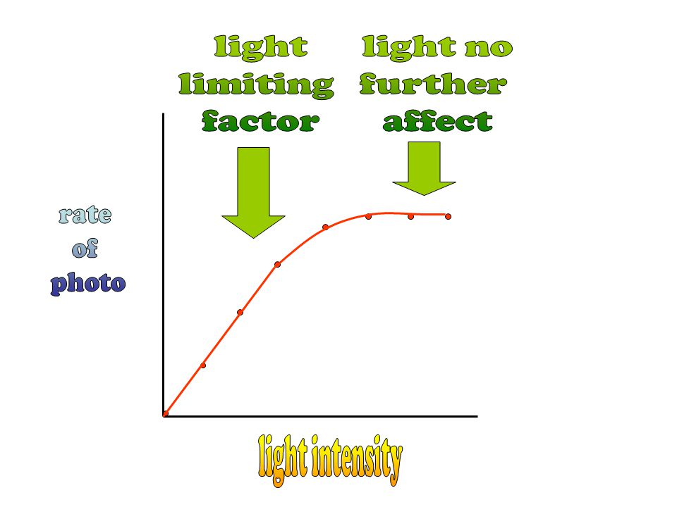 light limiting factor light no further affect rate of photo light intensity