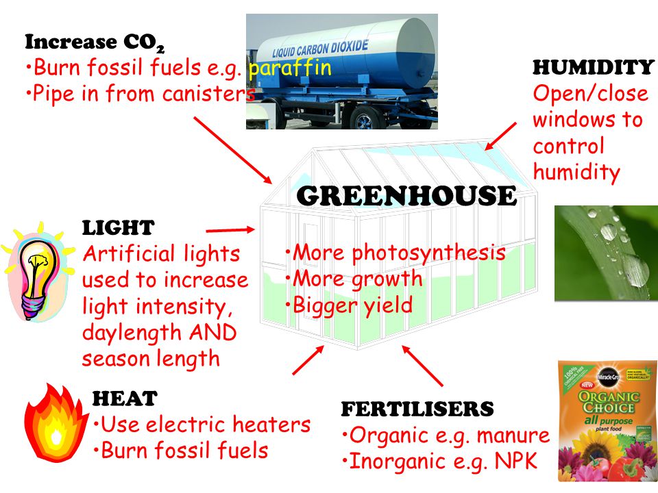 GREENHOUSE Increase CO2 Burn fossil fuels e.g. paraffin