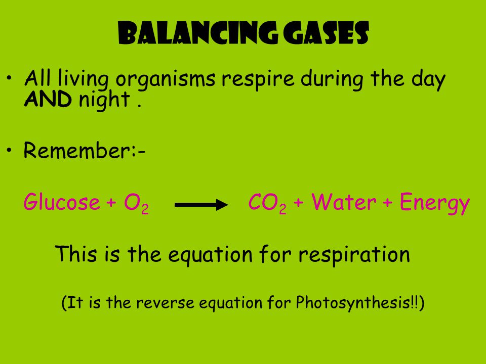 (It is the reverse equation for Photosynthesis!!)