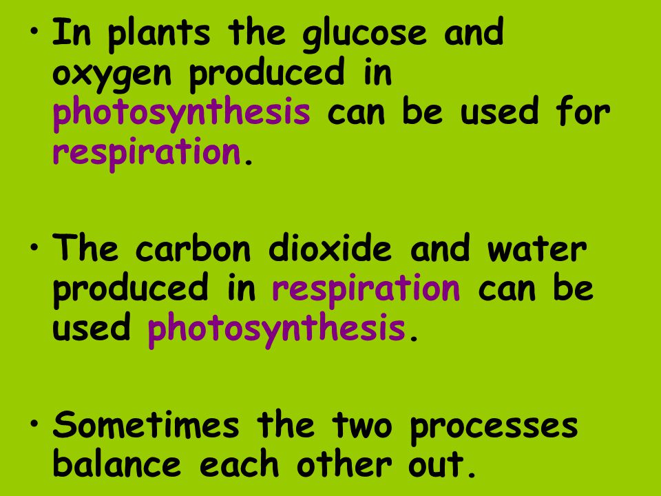 In plants the glucose and oxygen produced in photosynthesis can be used for respiration.