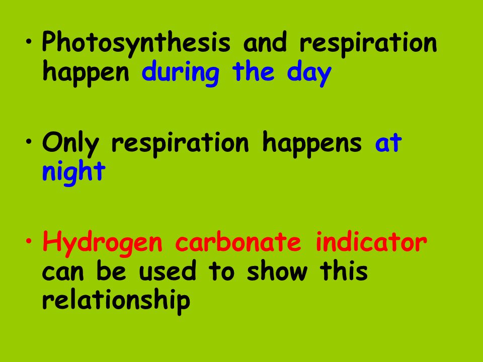 Photosynthesis and respiration happen during the day
