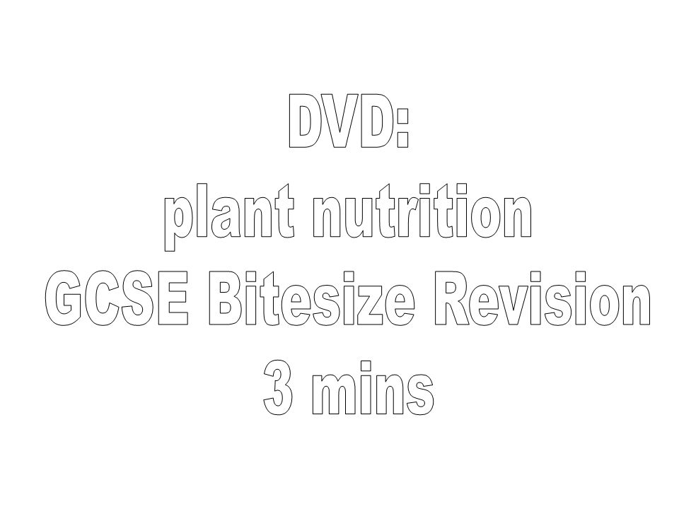 GCSE Bitesize Revision