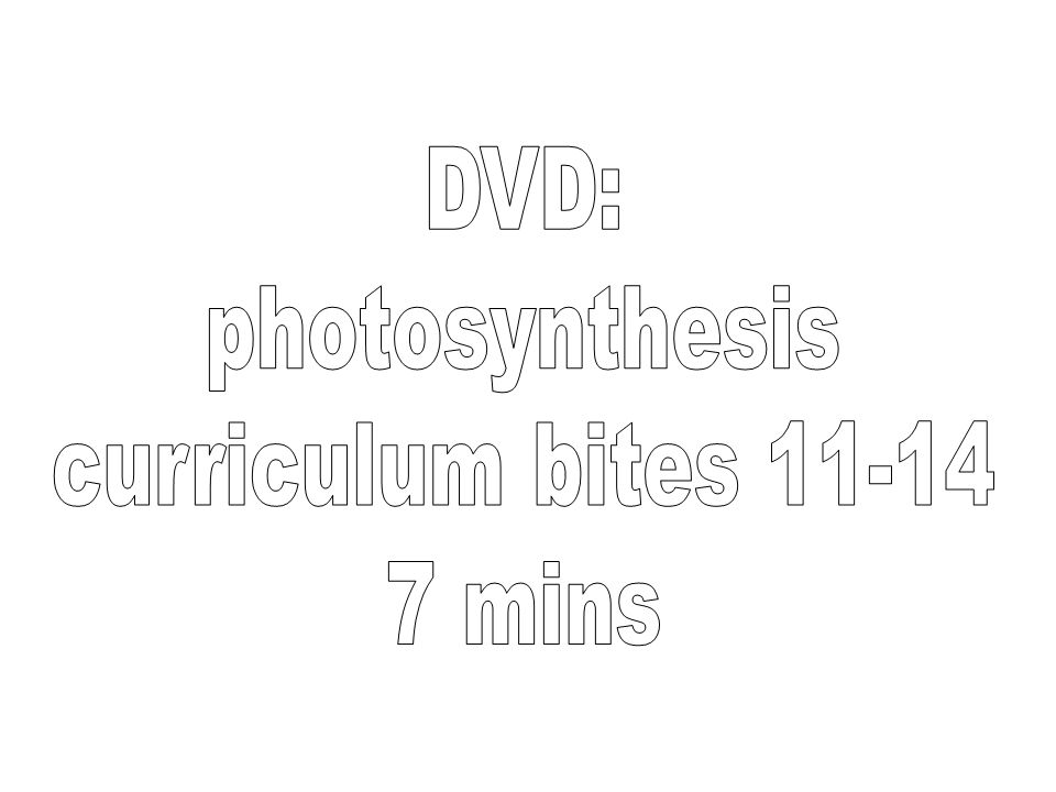 DVD: photosynthesis curriculum bites mins