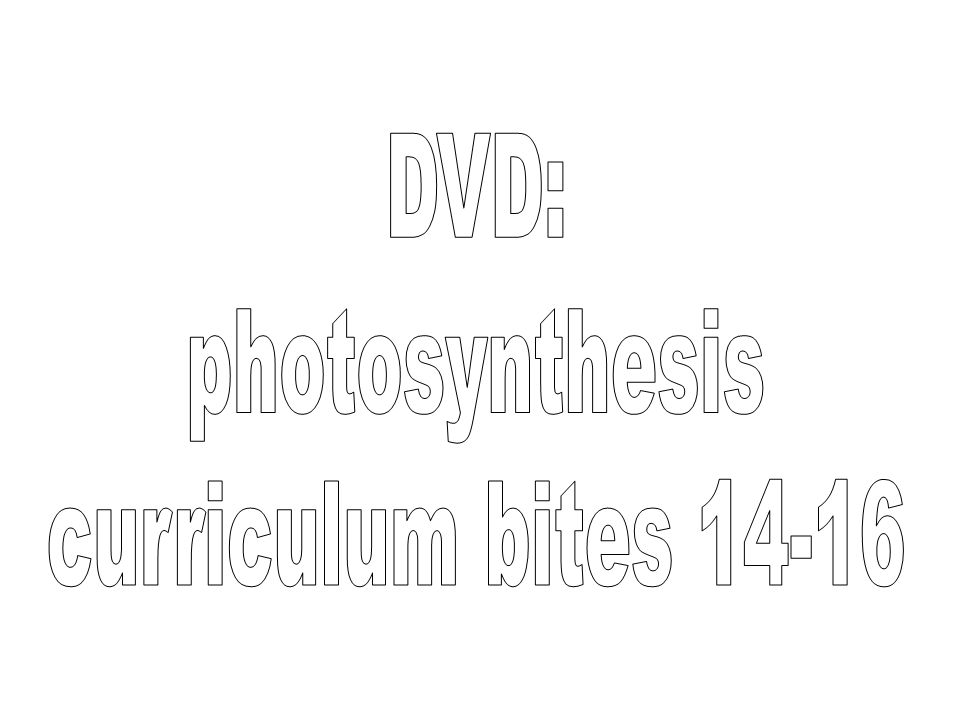 DVD: photosynthesis curriculum bites 14-16