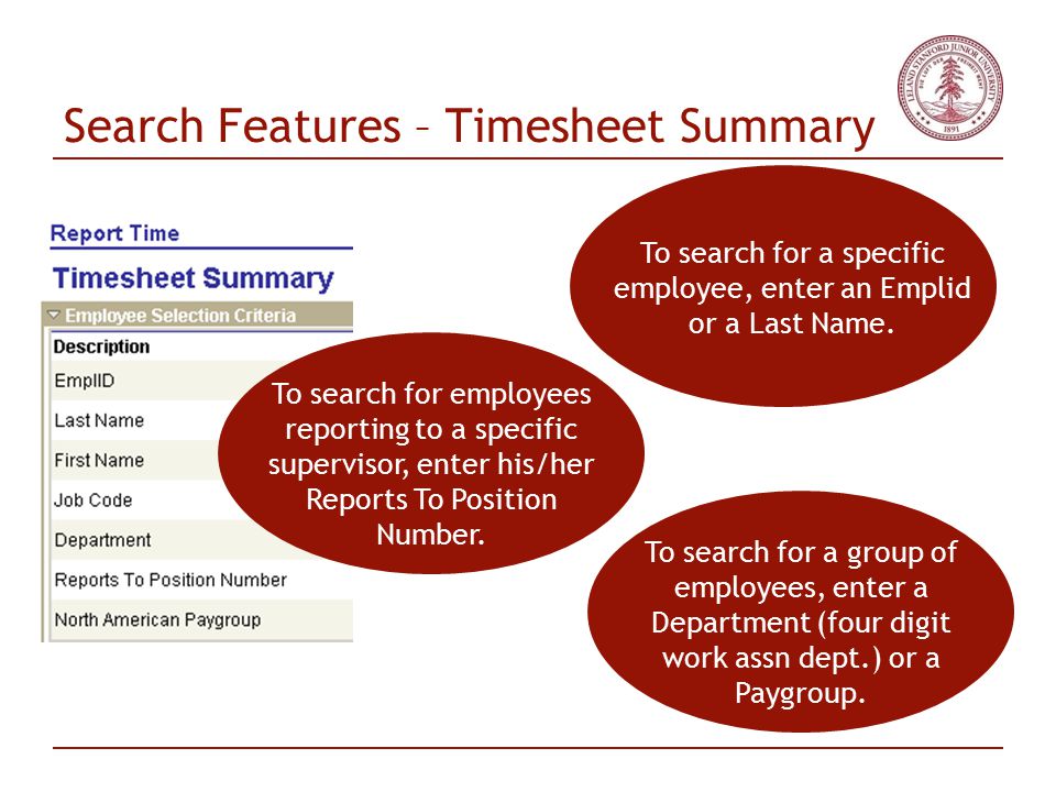 Search Features – Timesheet Summary