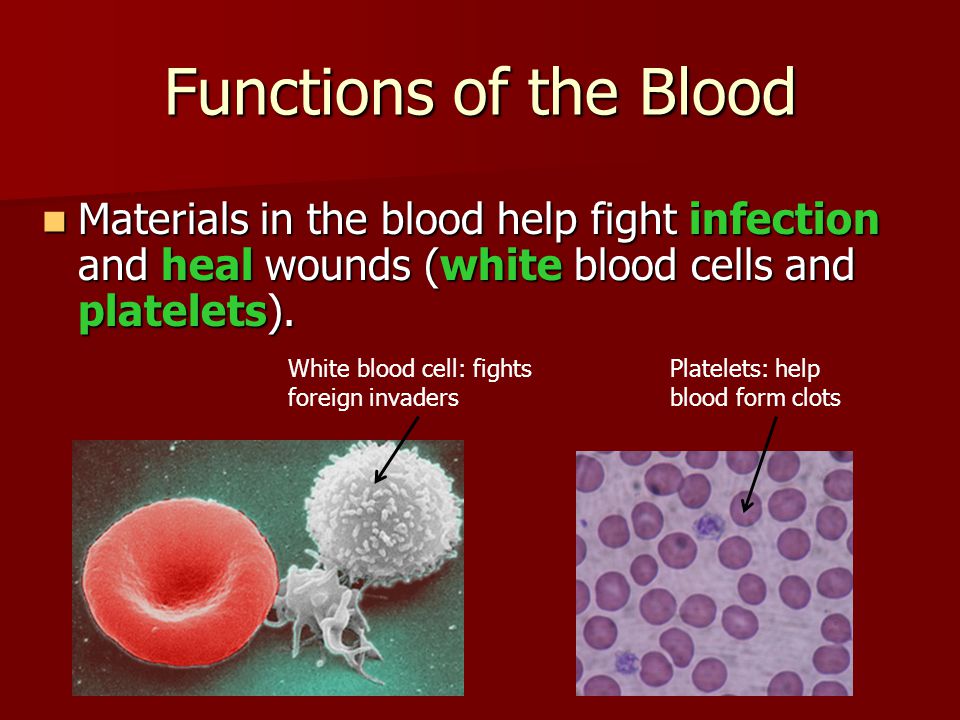 Functions of the Blood Materials in the blood help fight infection and heal wounds (white blood cells and platelets).