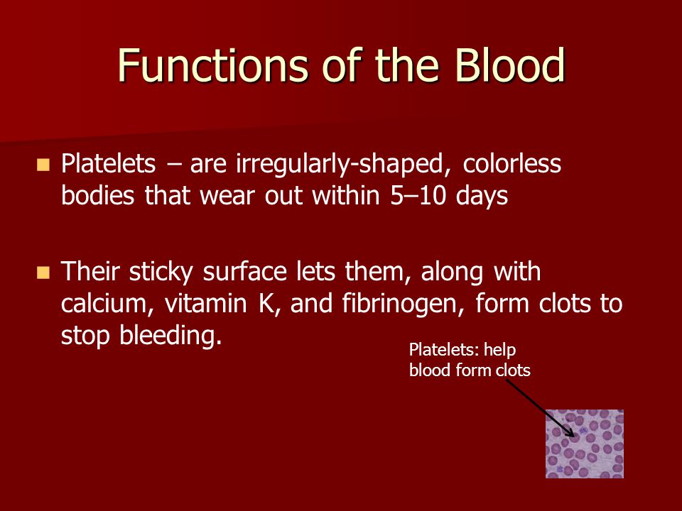 Functions of the Blood Platelets – are irregularly-shaped, colorless bodies that wear out within 5–10 days.