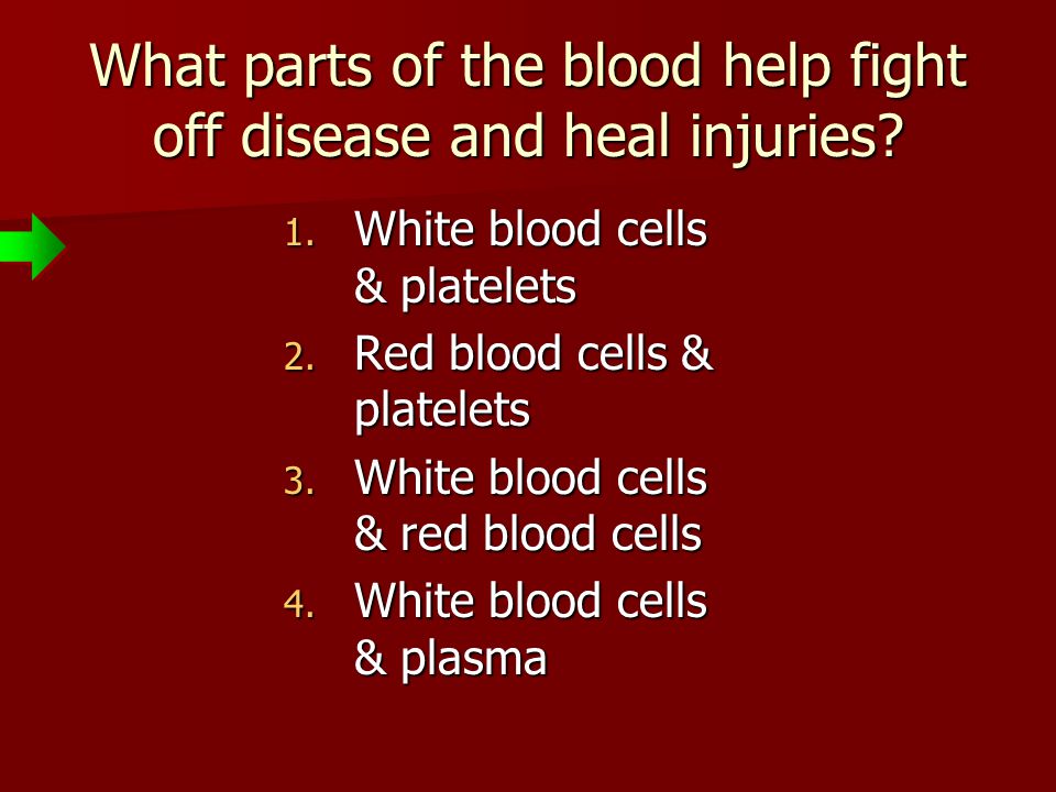 What parts of the blood help fight off disease and heal injuries