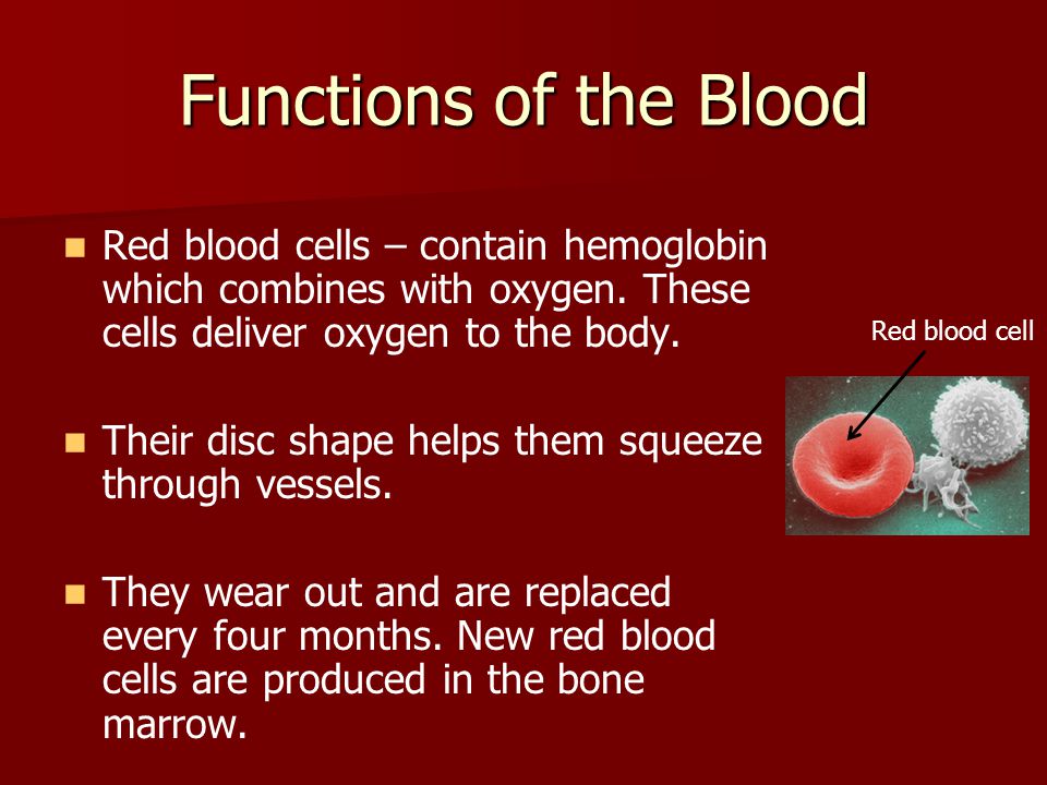 Functions of the Blood Red blood cells – contain hemoglobin which combines with oxygen. These cells deliver oxygen to the body.