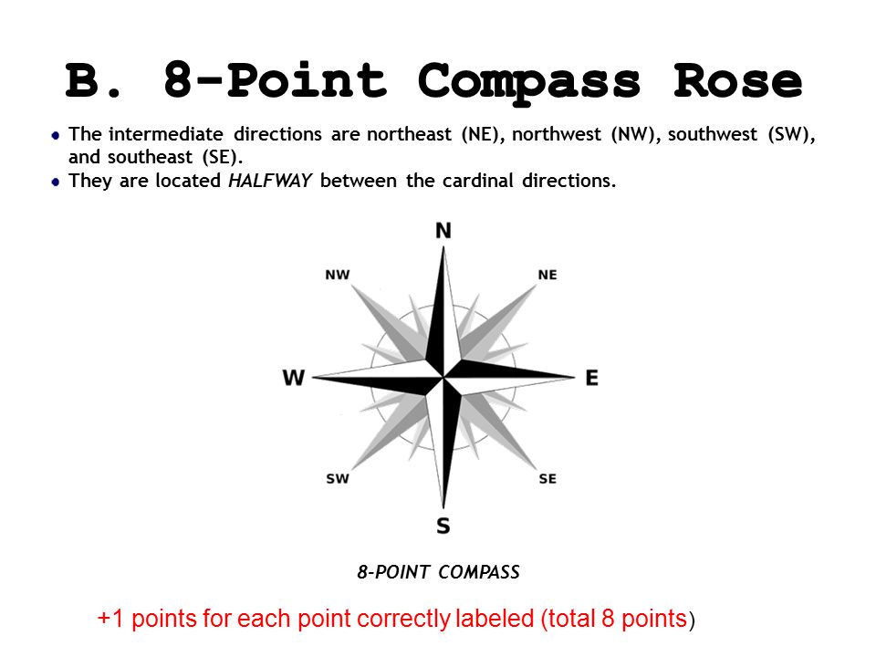 B. 8-Point Compass Rose The intermediate directions are northeast (NE), northwest (NW), southwest (SW), and southeast (SE).