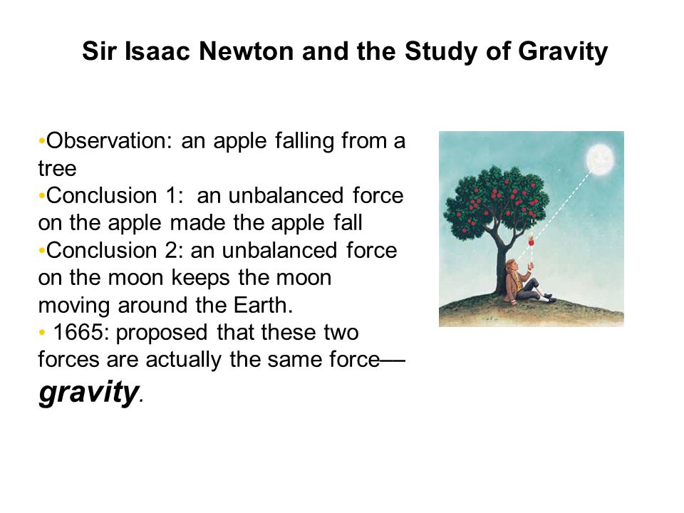 Sir Isaac Newton and the Study of Gravity