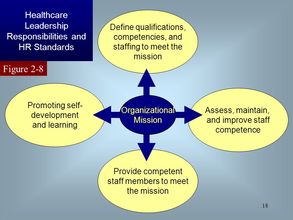 Figure 2-8 Healthcare Leadership Responsibilities and HR Standards