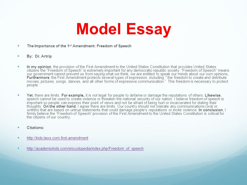 Model Essay The Importance of the 1st Amendment: Freedom of Speech