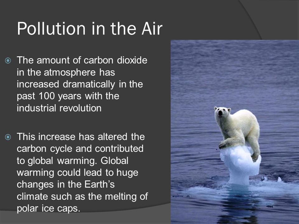 Pollution in the Air The amount of carbon dioxide in the atmosphere has increased dramatically in the past 100 years with the industrial revolution.