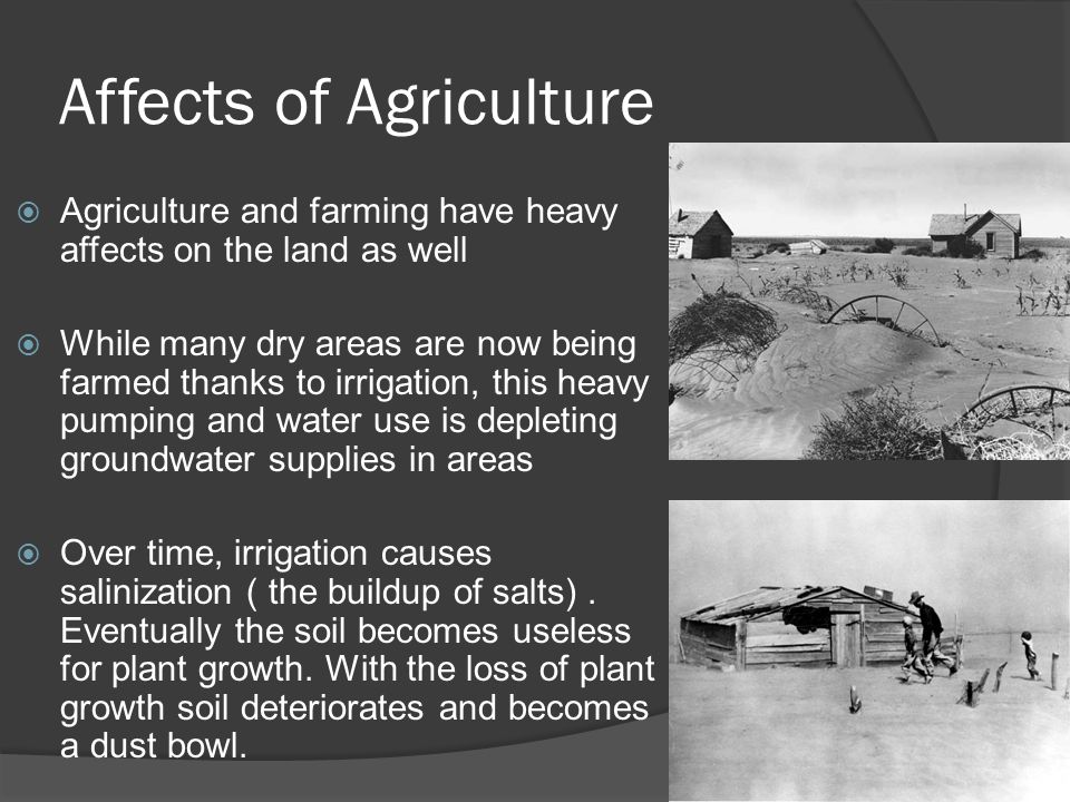 Affects of Agriculture