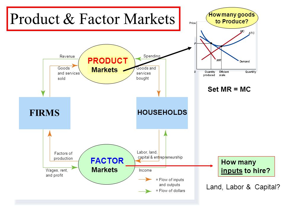 Dark Markets India