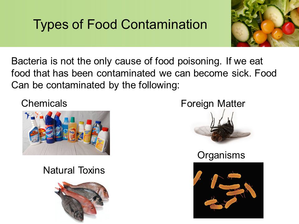 Food Safety And Contamination Ppt Video Online Download
