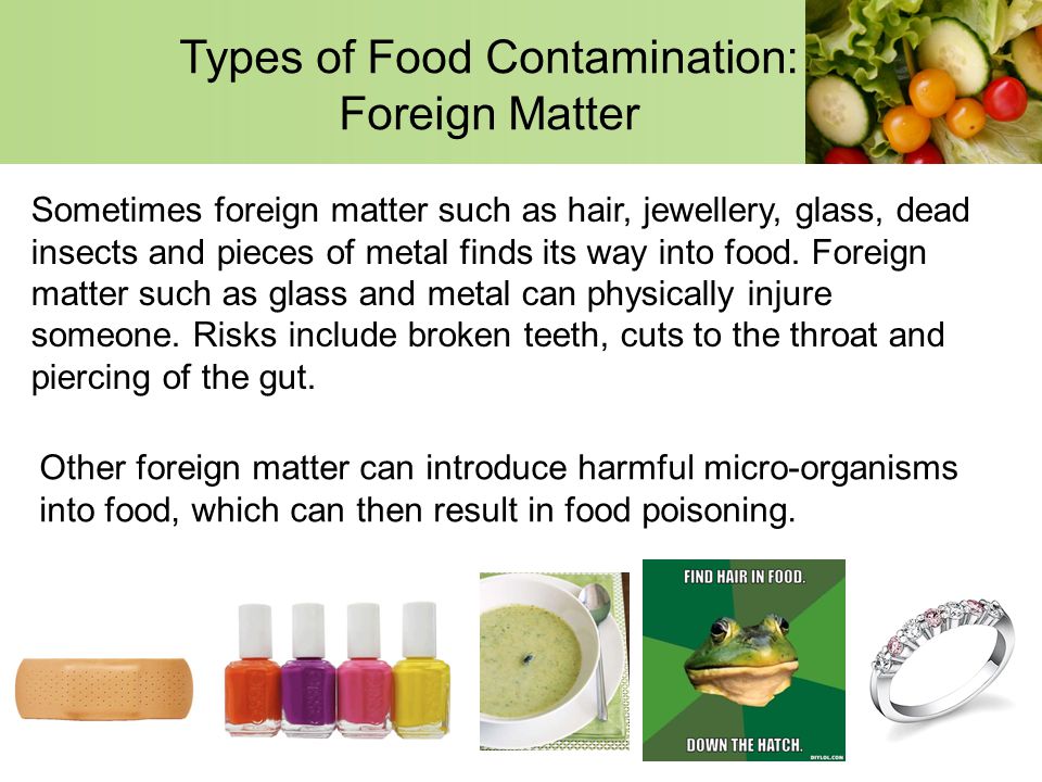 Food Safety And Contamination Ppt Video Online Download