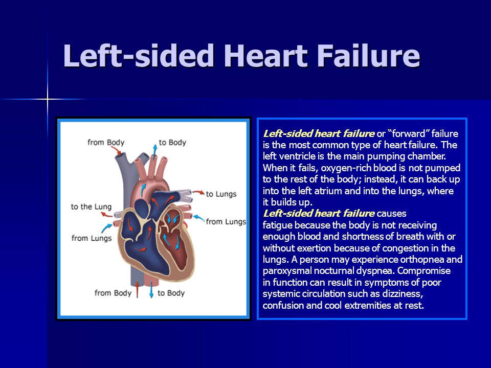 Systolic And Diastolic Heart Failure Ppt Download