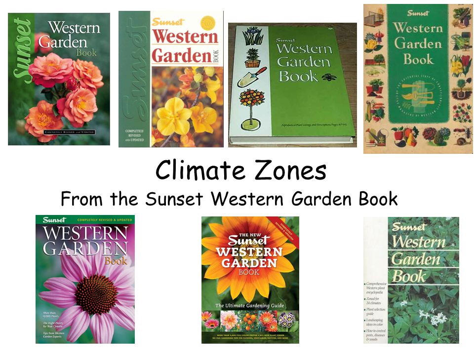 From The Sunset Western Garden Book Ppt Download