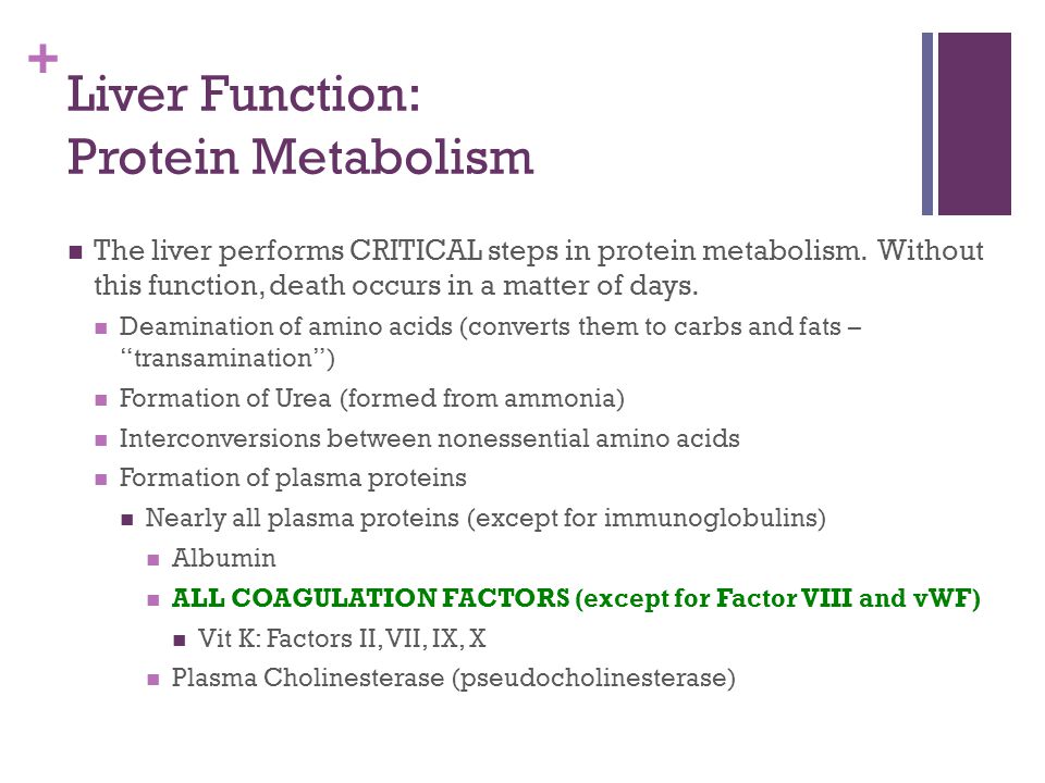 Liver Disease Lindsay Higgins Ppt Video Online Download