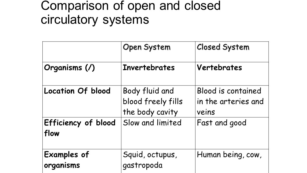 compare open and closed circulatory systems