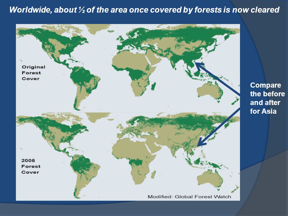 Worldwide, about ½ of the area once covered by forests is now cleared
