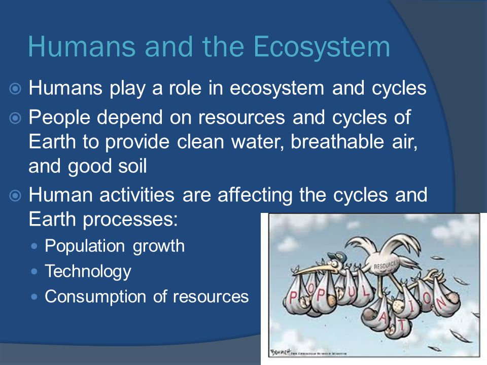 Humans and the Ecosystem