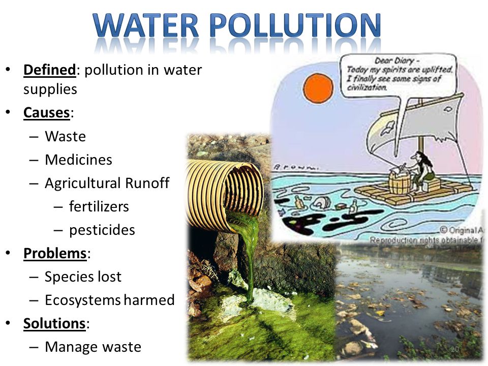 Water pollution Defined: pollution in water supplies Causes: Waste