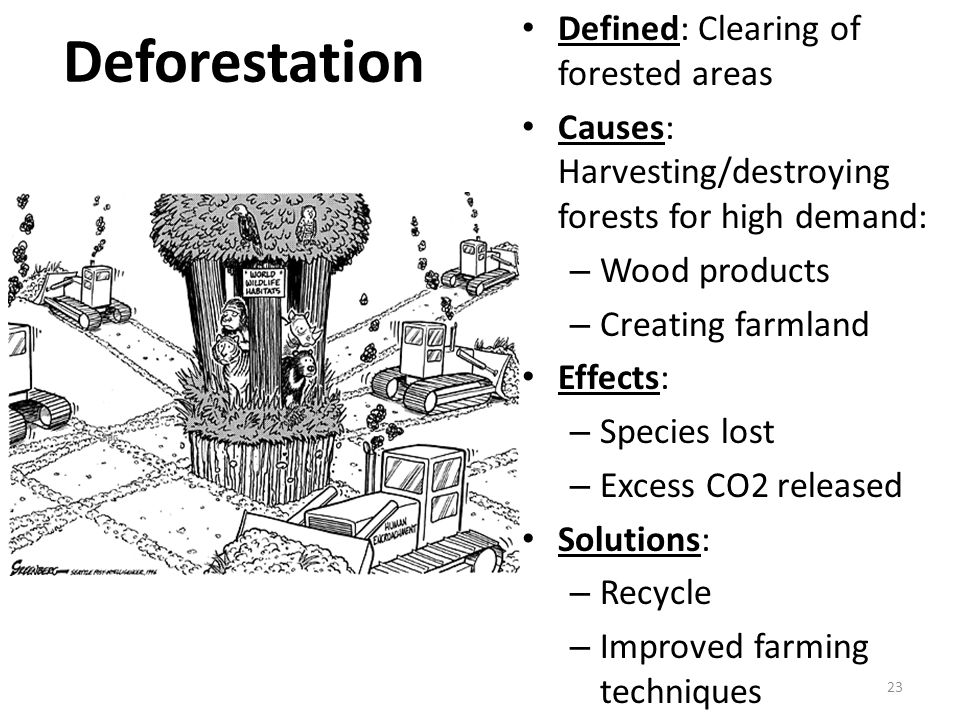 Deforestation Defined: Clearing of forested areas