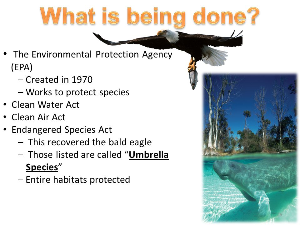 What is being done The Environmental Protection Agency (EPA)