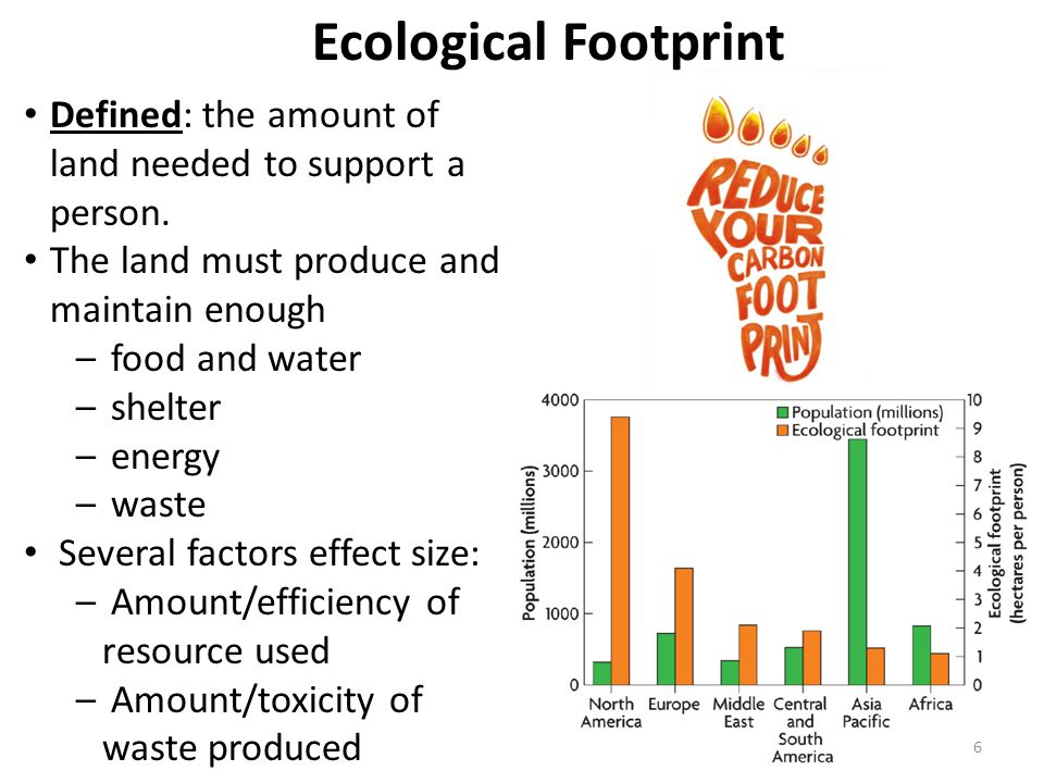 Ecological Footprint Defined: the amount of land needed to support a person. The land must produce and maintain enough.