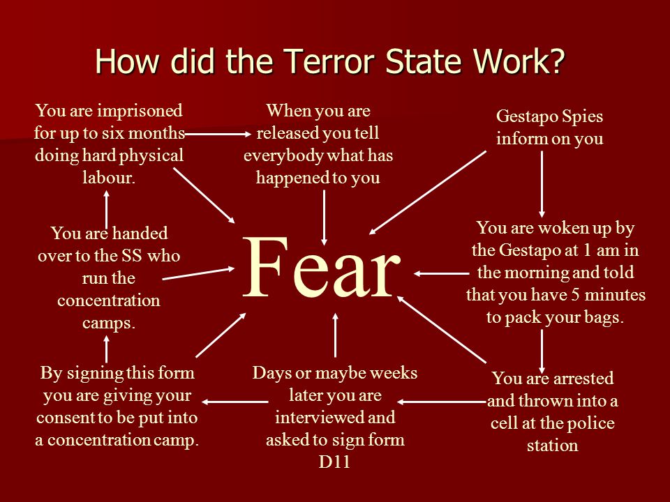 How did the Terror State Work