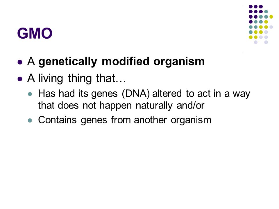 GMO A genetically modified organism A living thing that…