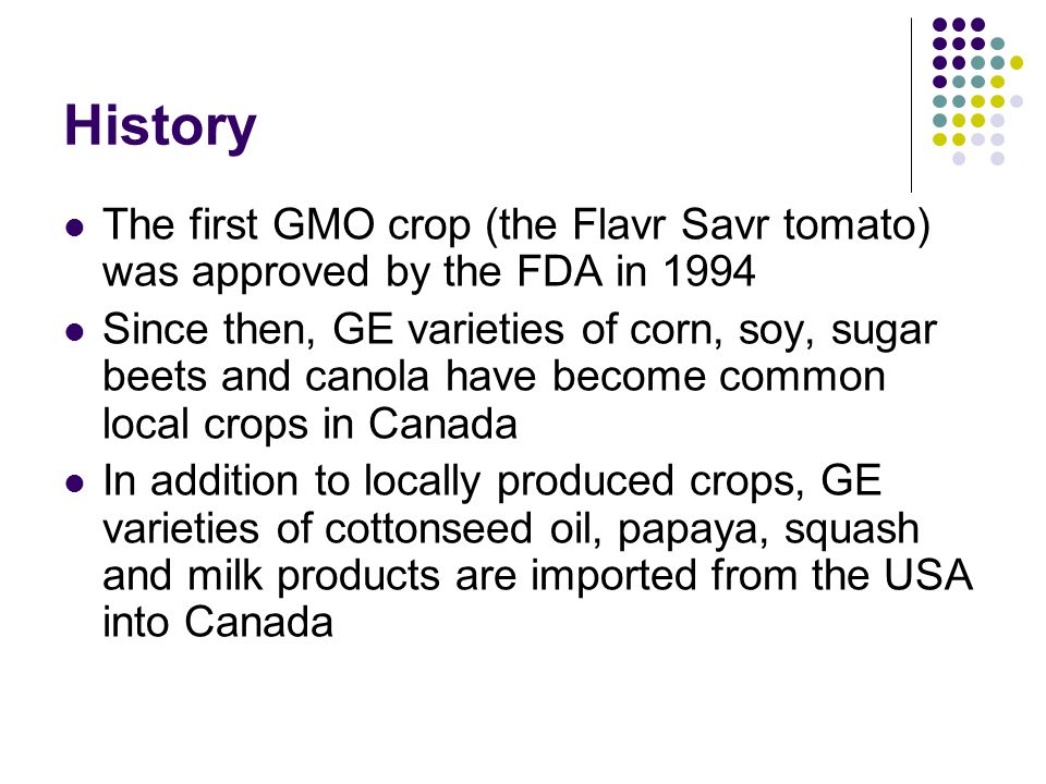 History The first GMO crop (the Flavr Savr tomato) was approved by the FDA in
