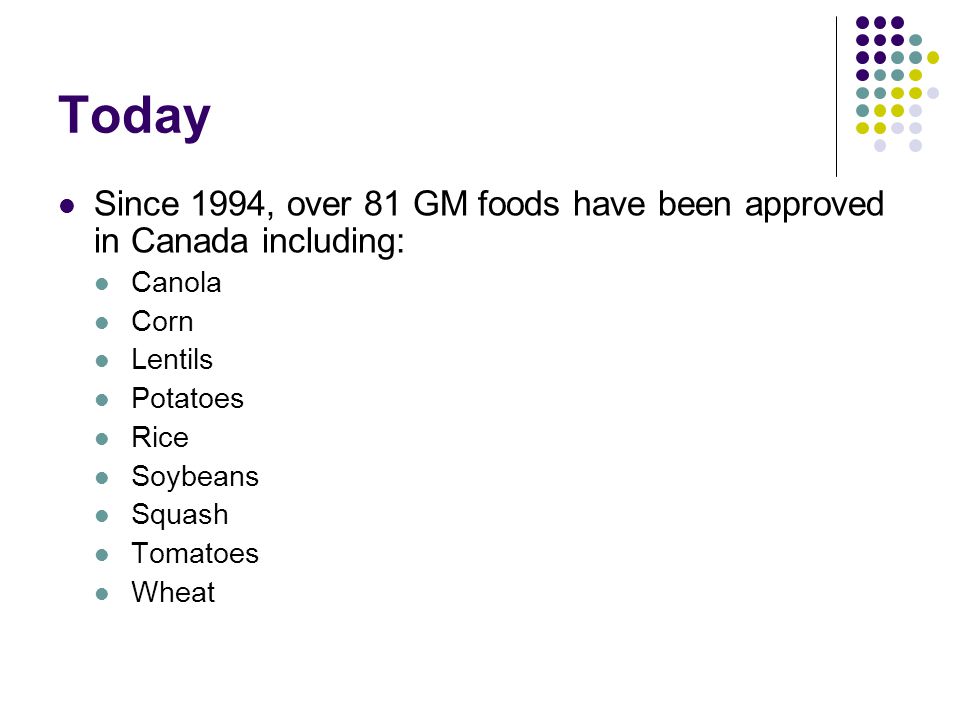 Today Since 1994, over 81 GM foods have been approved in Canada including: Canola. Corn. Lentils.