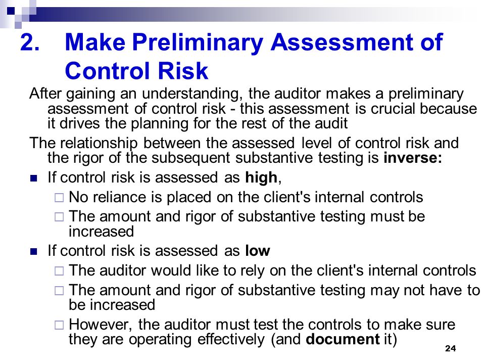 Make Preliminary Assessment of Control Risk