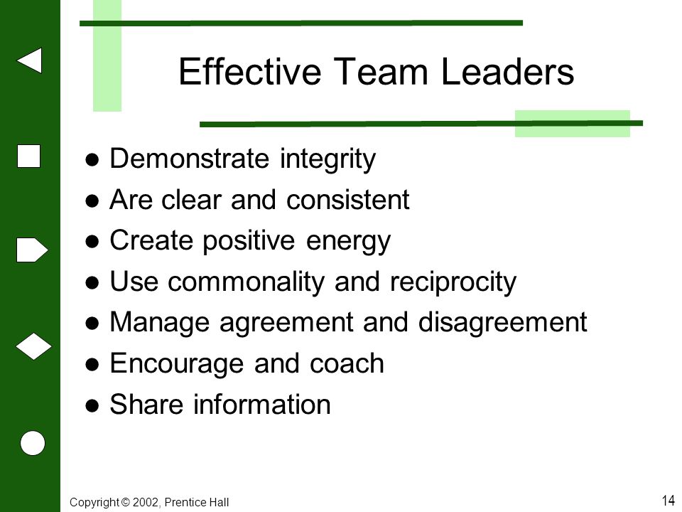 Effective Team Leaders