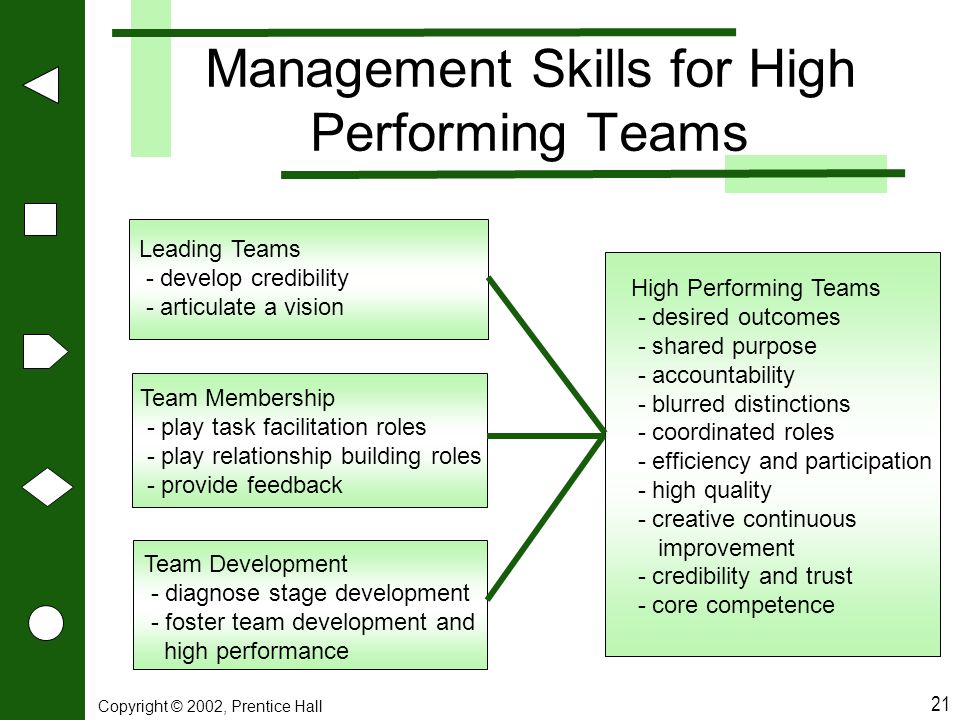Management Skills for High Performing Teams