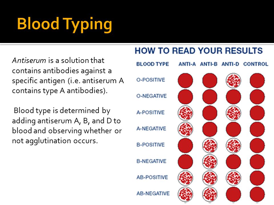 12 January 15 Blood Types Ppt Video Online Download