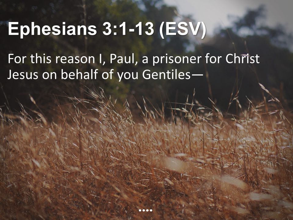 Ephesians 3:1-13 (ESV) For this reason I, Paul, a prisoner for Christ Jesus on behalf of you Gentiles—