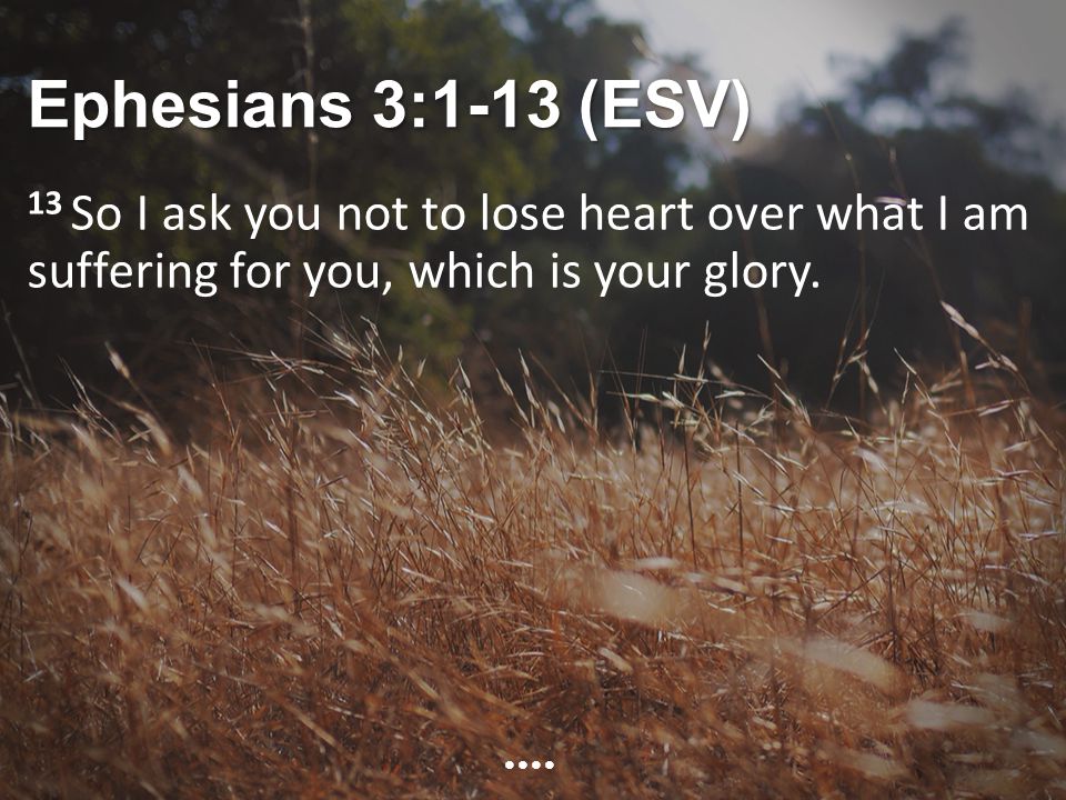 Ephesians 3:1-13 (ESV) 13 So I ask you not to lose heart over what I am suffering for you, which is your glory.