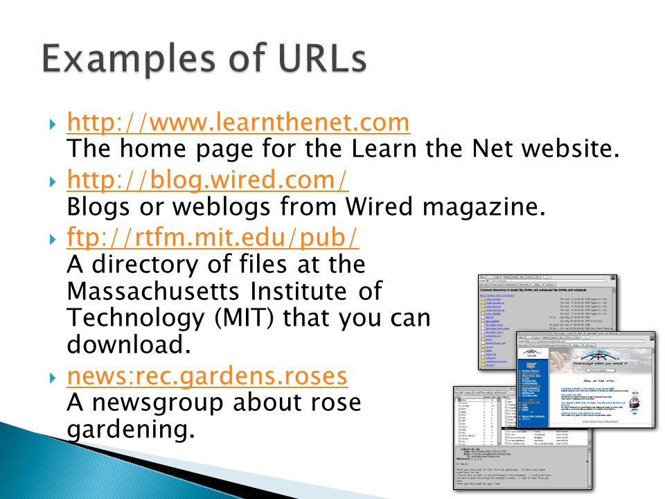 Examples of URLs   The home page for the Learn the Net website.